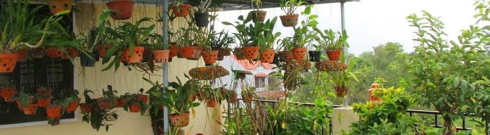 Leaf Homestay 호이안 외부 사진