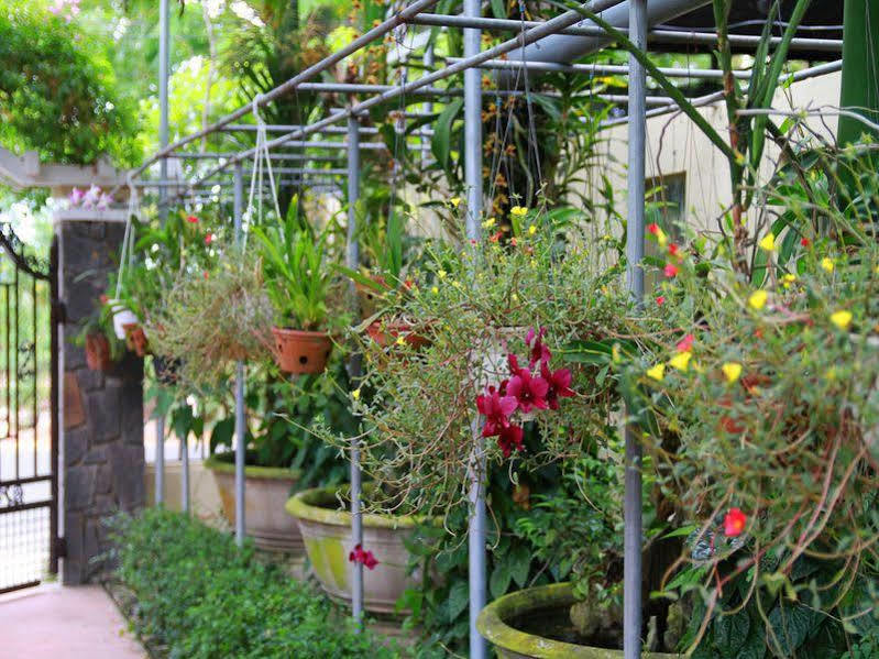 Leaf Homestay 호이안 외부 사진