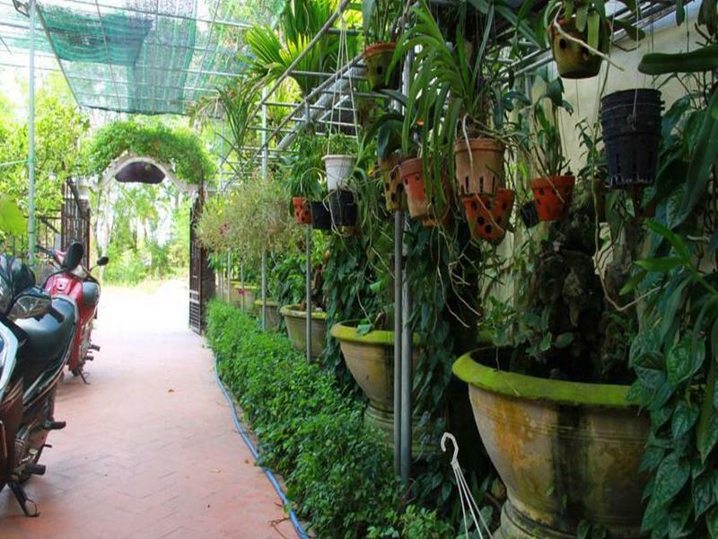 Leaf Homestay 호이안 외부 사진